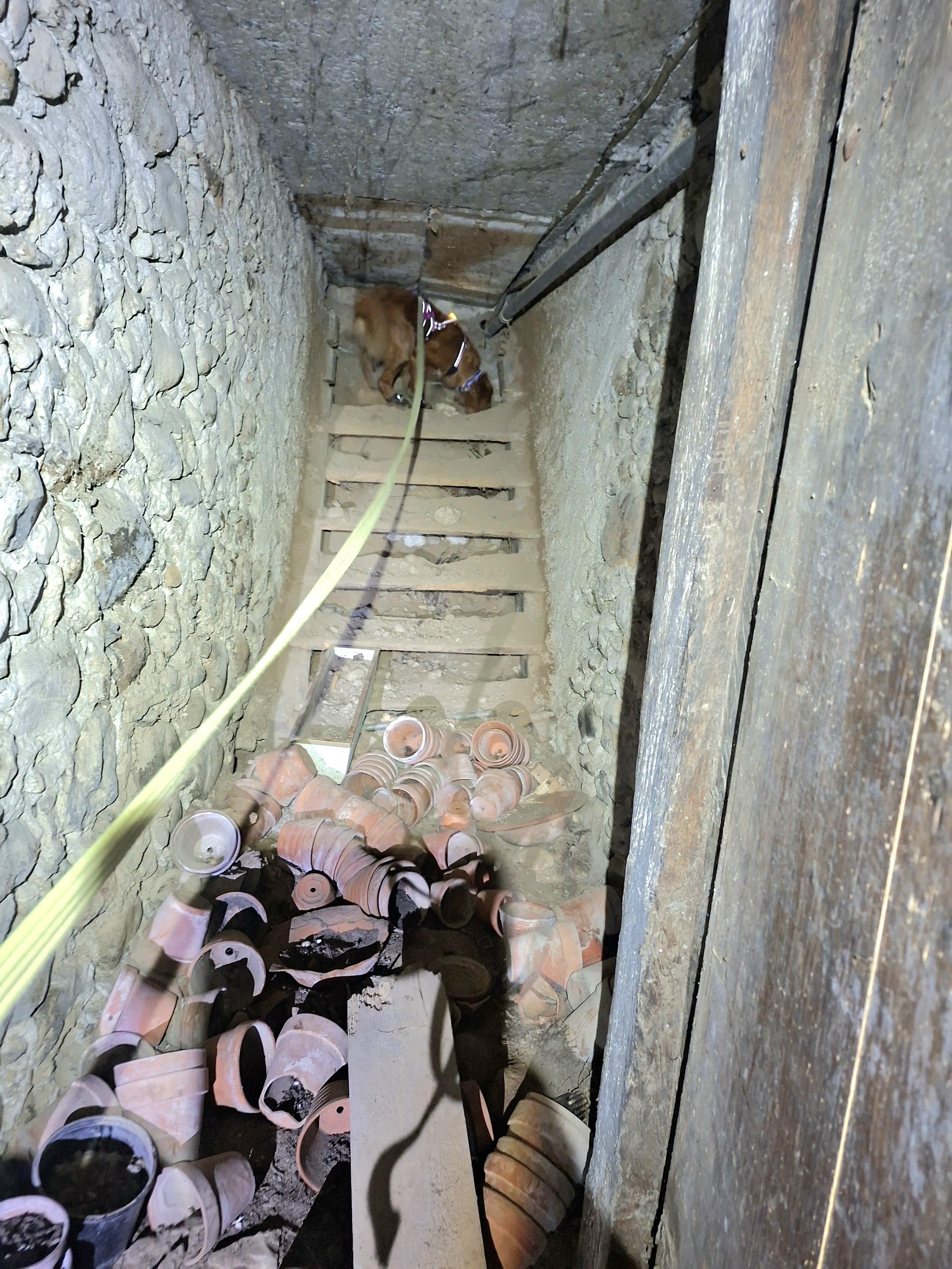 Tiersuch Staffel Schaffhausen