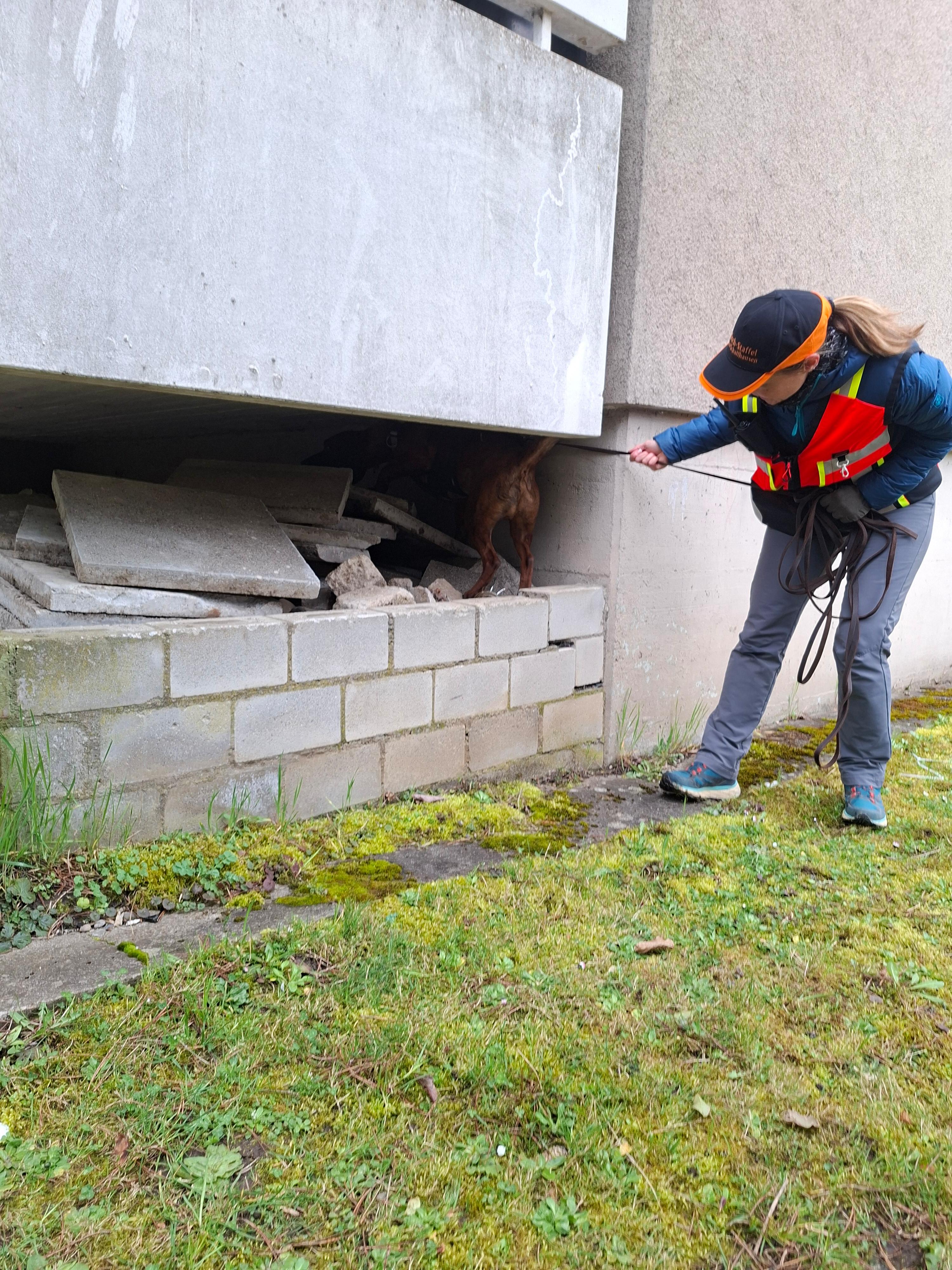 Tiersuch Staffel Schaffhausen