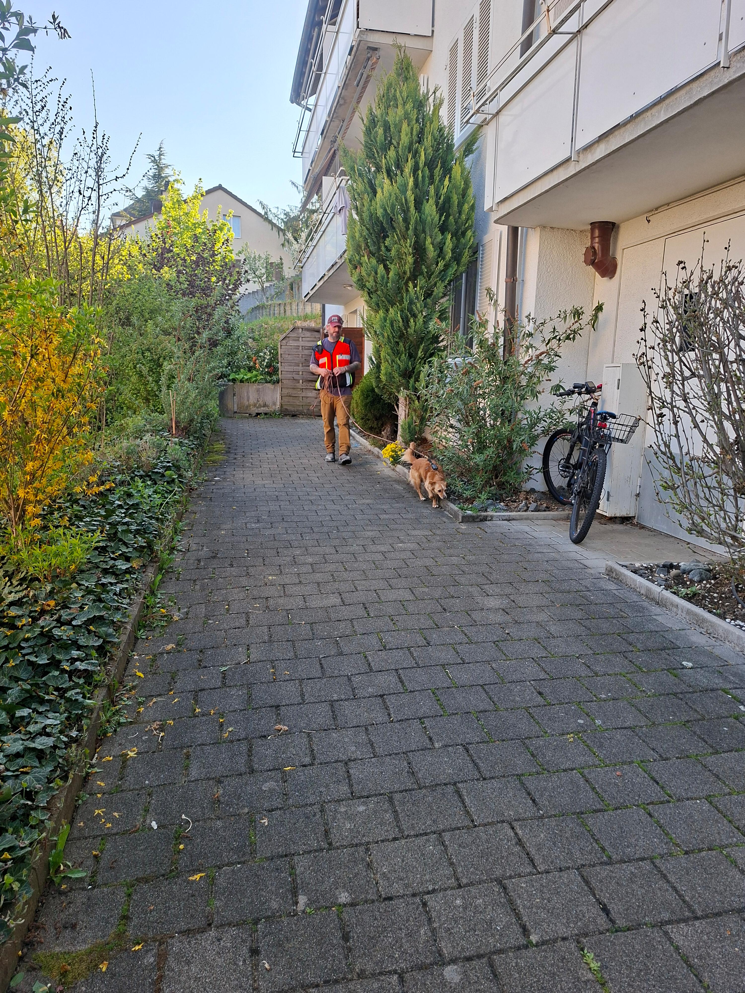 Tiersuch Staffel Schaffhausen
